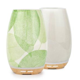 Aroma Fern Diffuser