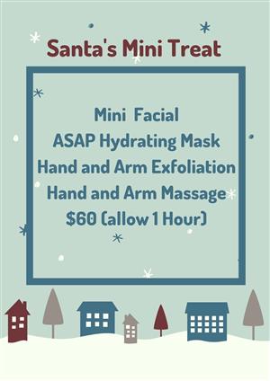 <p><strong><b>Christmas Package 4</b></strong></p>
<p>Peppermint Foot Soak</p>
<p>Classic Relaxation Facial</p>
<p>Hand /Arm & Foot/Leg Exfoliation</p>
<p>Hand/Arm & Foot/Leg Massage</p>
<p>Deluxe Pedicure</p>
<p>$180 (allow 2.5 hours)</p>