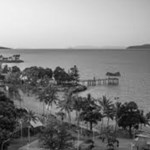 Other Services Staff ELite Edge 3 Townsville