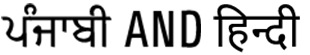 punjabi and hindi