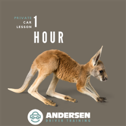 Driving School Private Car Lessons - 1 Hour Private Car Lesson