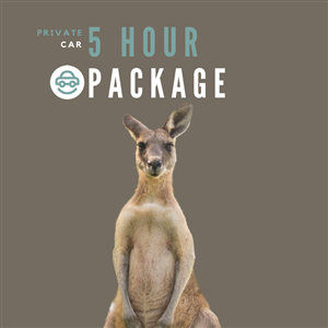 Driving School Private Car Lessons - 5 Hour Pre Paid Private Car Package at Andersen Driver Training