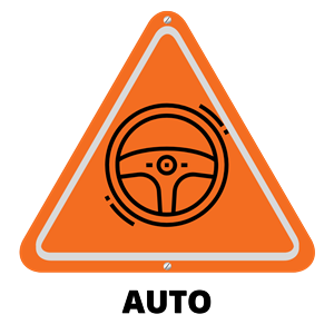 Driving School Driving Lesson Packages (Sydney) - 1 x Automatic Lesson (Sydney) at Onroad Driving Education