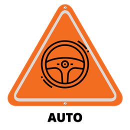 Driving School Driving Lesson Packages (Sydney) - 1 x Automatic Lesson (Sydney)