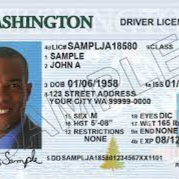 Driving School Adult Driver Training - 9 hours driving lessons with pickup and drop off +free knowledge test+ free Driving Test