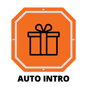 Driving School Driving Lesson Packages (Wollongong) - First Automatic Introductory Lesson (Wollongong) at Onroad Driving Education