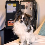 PEMF Massage Clinic Staff PEMF