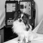 PEMF Massage Clinic Staff PEMF