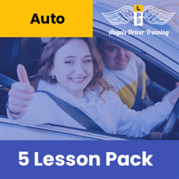 Driving School Auto Lesson - Auto 5 Pack