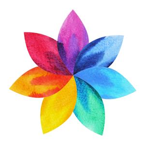 Massage Clinic Gift Certificates - One Hour Massage Therapy Session at Even Energy LC