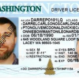 Driving School Driver License Testing - 50-minutes pre-Test Driving Lesson and Driving Test