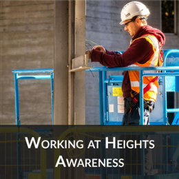 Training Organisation Online Courses - Working at Heights Awareness
