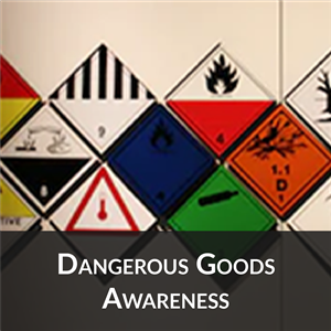 Training Organisation Online Courses - TLIF3091 Apply awareness of dangerous goods and hazardous materials requirements at Queensland Transport and Logistics Training