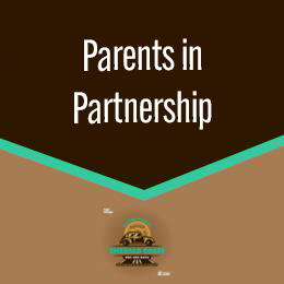 Driving School Driving Lessons - PIP - Parents in Partnership Lesson