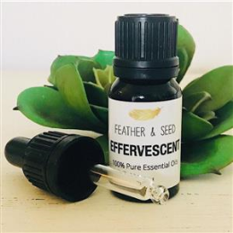 EFFERVESCENT for Motivation & Focus