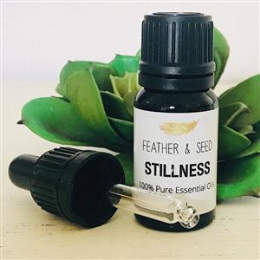 STILLNESS for a Quiet Mind