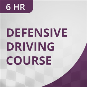 Driving School 1 Courses - 6 Hr Defensive Driving Course at David Driving School