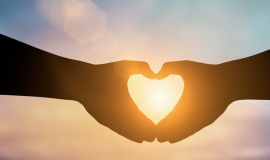 Trauma Informed Course NDIS