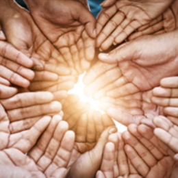 Other Services Donation - Supportive Donation (Weekly)