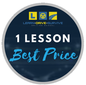 1 Lesson | Learn Drive Survive Driving School