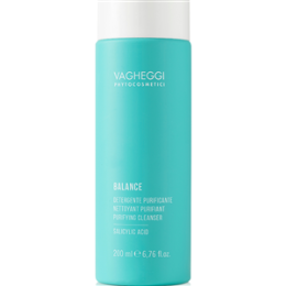 Salon, Barber & Beauty Shops Cleansers - Vagheggi balance cleanser