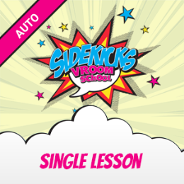 Driving School Single Lessons & Courses - 1 Hour Driving Lesson (Auto)