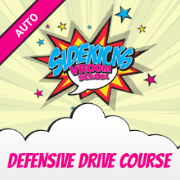 Driving School Single Lessons & Courses - Defensive/Country Drive Course (Auto)