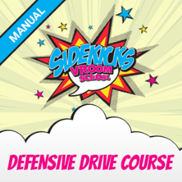 Driving School Single Lessons & Courses - Defensive/Country Drive Course (Manual)