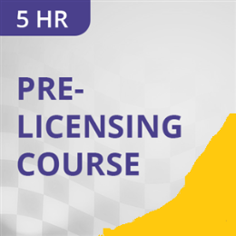 Driving School 1 Courses - Curso Previo a la Licencia de 5 Horas