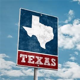 Bienvenidos a Tejas! Quien podria conducir un vehiculo en Tejas?