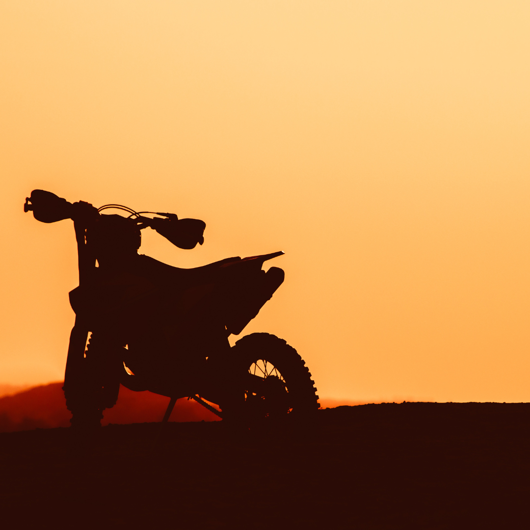 Top Rider Sunshine Coast