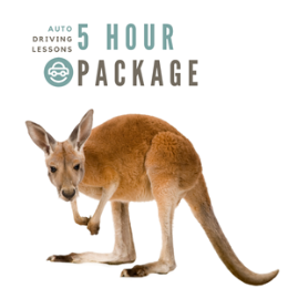 Driving School Driving lessons - 5 Hour AUTO Pre Paid