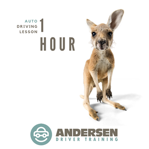 Driving School Driving lessons - 1 Hour AUTO Driving Lesson at Andersen Driver Training