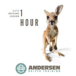 Driving School Driving lessons - 1 Hour AUTO Driving Lesson