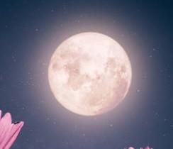 Driving School Vouchers - 1 hour Lesson - Night at NP Driving School