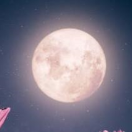 Driving School Vouchers - 1 hour Lesson - Night