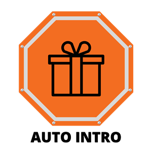 Driving School Driving Lesson Packages (Queanbeyan) - First Automatic Introductory Lesson (Queanbeyan) at Onroad Driving Education