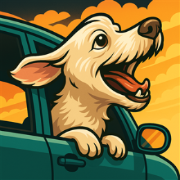 Driving School Confidence Boost Packages - Confidence Boost