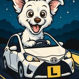 Driving School Accounts - Night Surcharge