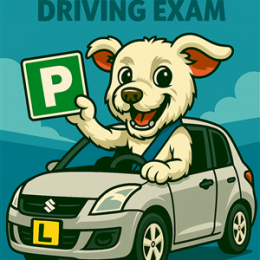 Driving School Test Day Package - Test Day Package