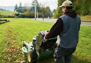 Cleaning and Maintenance Lawn Mover my Serivces - Lawn Mowing Serivce at Reliable Cleaning Service