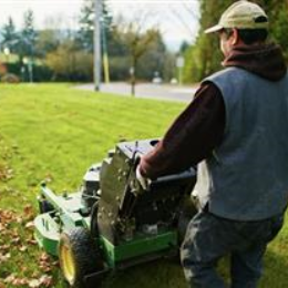 Cleaning and Maintenance Lawn Mover my Serivces - Lawn Mowing Serivce