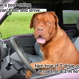 Eat, Drink and Drive Safely