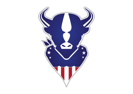 Patriot High School Logo