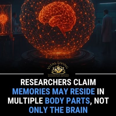 The Body Remembers: How Science Is Redefining Where Memory Lives