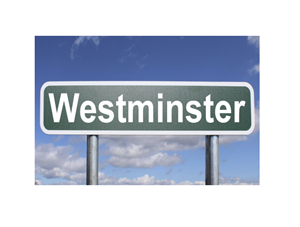 Driving School Online Course - (Westminster) Online 30Hr. Course + 1 Two-Hour Driving Lesson at American Driving Academy