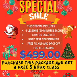 Driving School DECEMBER/HOLIDAY SPECIAL - December Special- 6 HOUR lessons, Car & RT APPT.PURCHASE THIS PACKAGE AND GET A FREE 5 HOUR CLASS