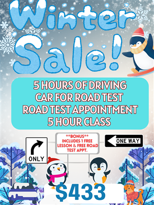 Driving School A WINTER SALE - WINTER SPECIAL ** THIS PACKAGE INCLUDES A FREE LESSON & AND FREE ROAD TEST APPOINTMENT** at Island Driving School