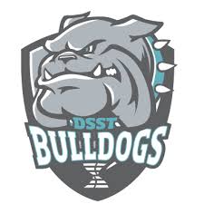 American Driving Academy Logo