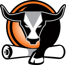 American Driving Academy Logo